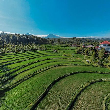 Candra Cottage Munduk  Ngoại thất bức ảnh