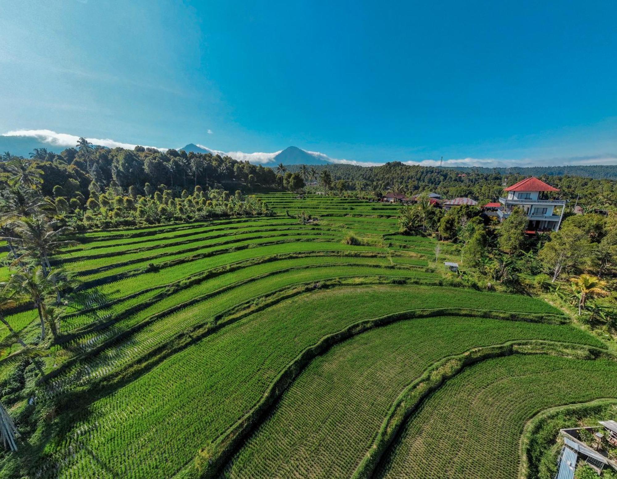 Candra Cottage Munduk  Ngoại thất bức ảnh
